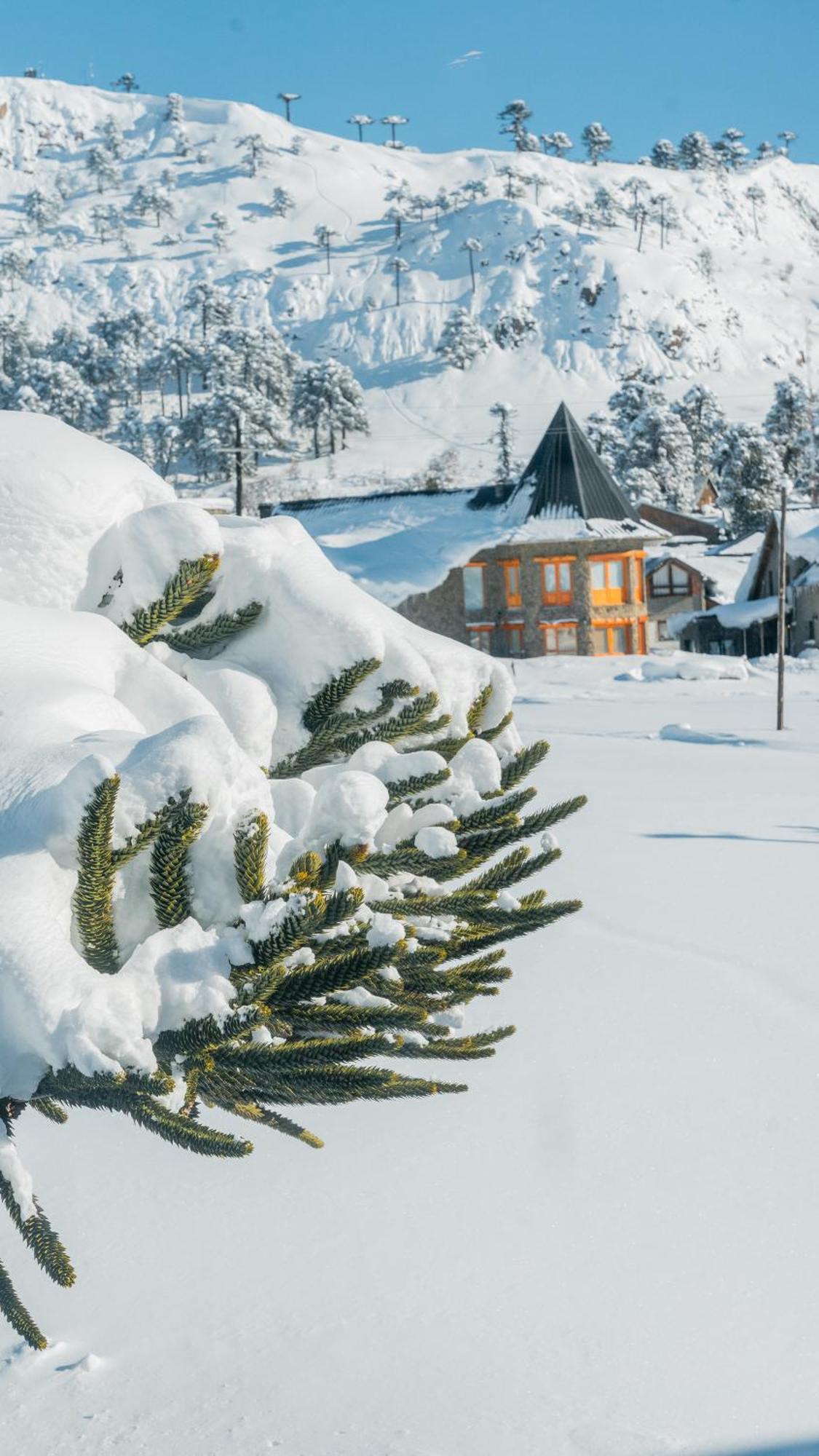 Nieves Del Cerro Hotel 4*