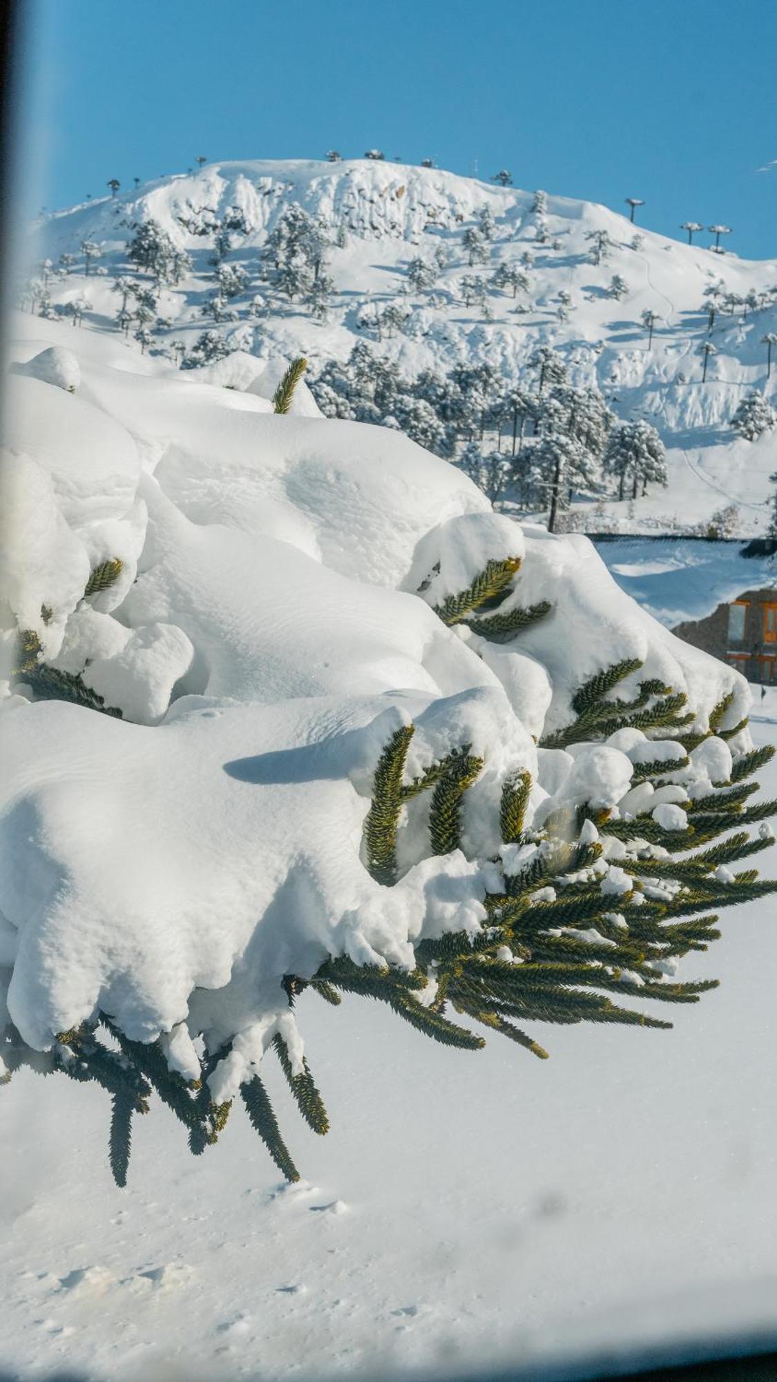 Nieves Del Cerro Caviahue